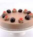 chocolate chip cake
