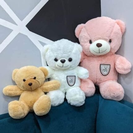 Teddy Teddy by Valentine’s Day for Valentines Day