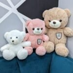 Teddy Teddy - Teddy Bears | Lahore Gifts Online