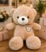 14 Inch Teddy by Teddy Bears