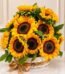 Sunflower Box in Lahore for Fathers Day