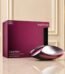 Euphoria for Women by Calvin Klein perfume gift by for Her