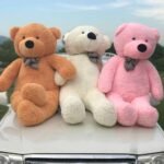 4 Feet Teddy Bear - Gifts by Occasions | Lahore Gifts Online