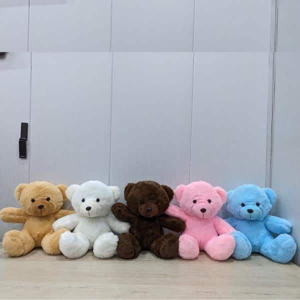8 Inch Teddy Bears - Combo Deals for Her 8 Inch Teddy Bears - Combo Deals for Her | Lahore Gifts Online