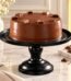 Dairy Milk Cake from Delizia in Karachi