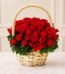 5 Dozen Roses Basket in Lahore for Valentines Day