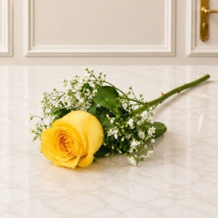 Imported Rose Long Stem 1 Yellow in Lahore