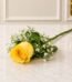 Imported Rose Long Stem 1 Yellow in Lahore