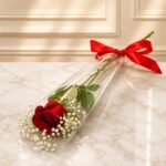 1 Imported Red Rose Stem Cone with Gypsophila by Valentine’s Day in Lahore for Valentines Day