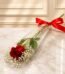 1 Imported Red Rose Stem Cone with Gypsophila by Valentine’s Day in Lahore for Valentines Day