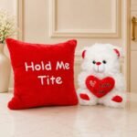 Hold Me Tight Cushion with Teddy - Anniversary Gifts | Lahore Gifts Online